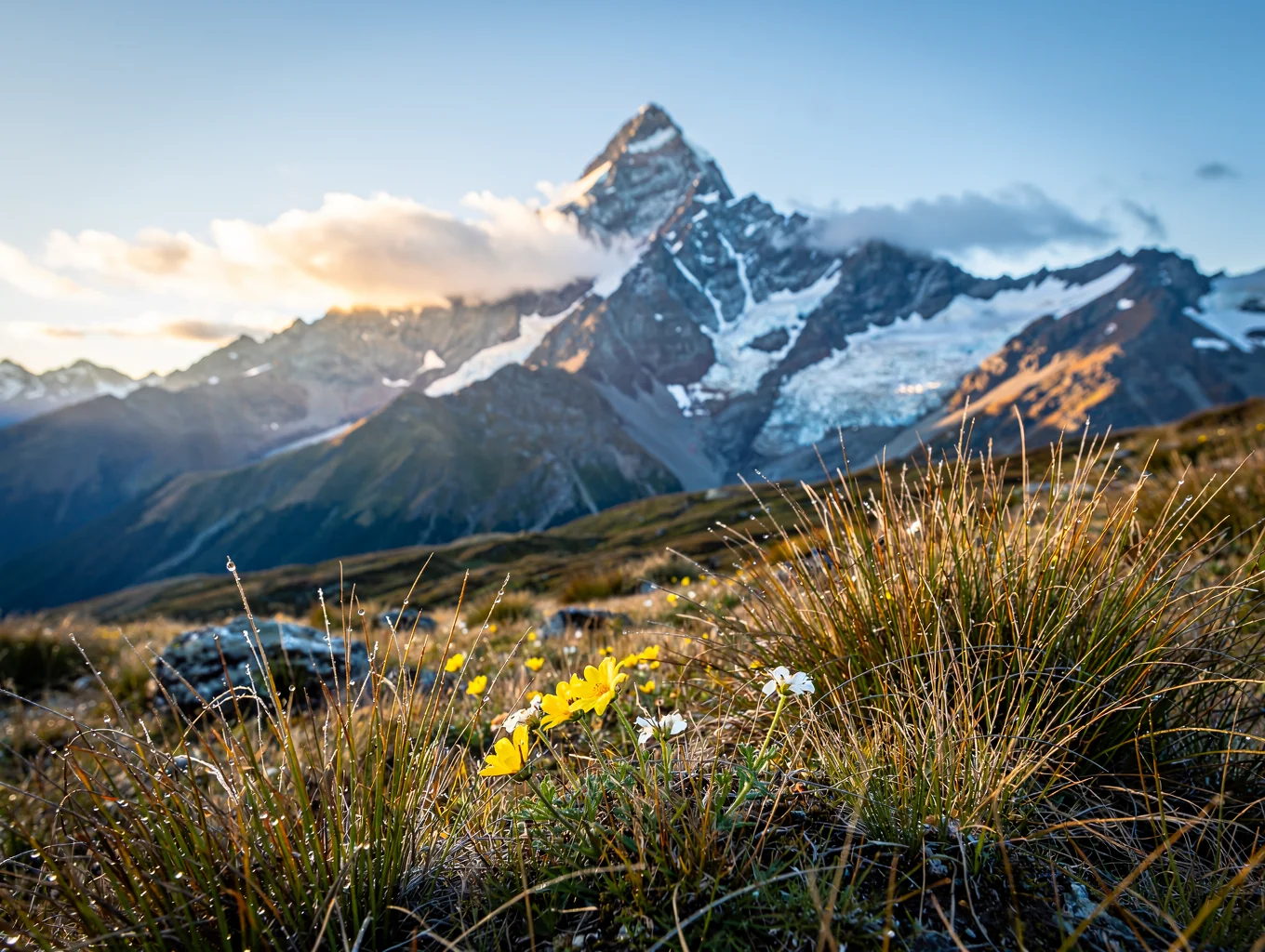 Alpine Valley Dawn - Mount Cook, New Zealand
